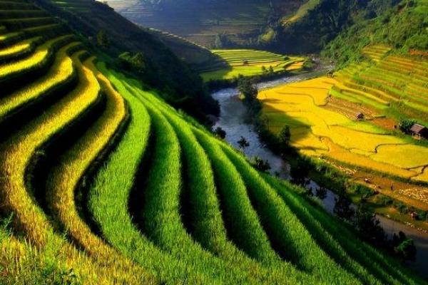 Những bức ảnh về Việt Nam đẹp 
