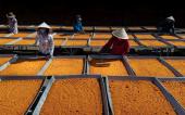 Nghề làm muối ớt Tây Ninh được công nhận là di sản quốc gia